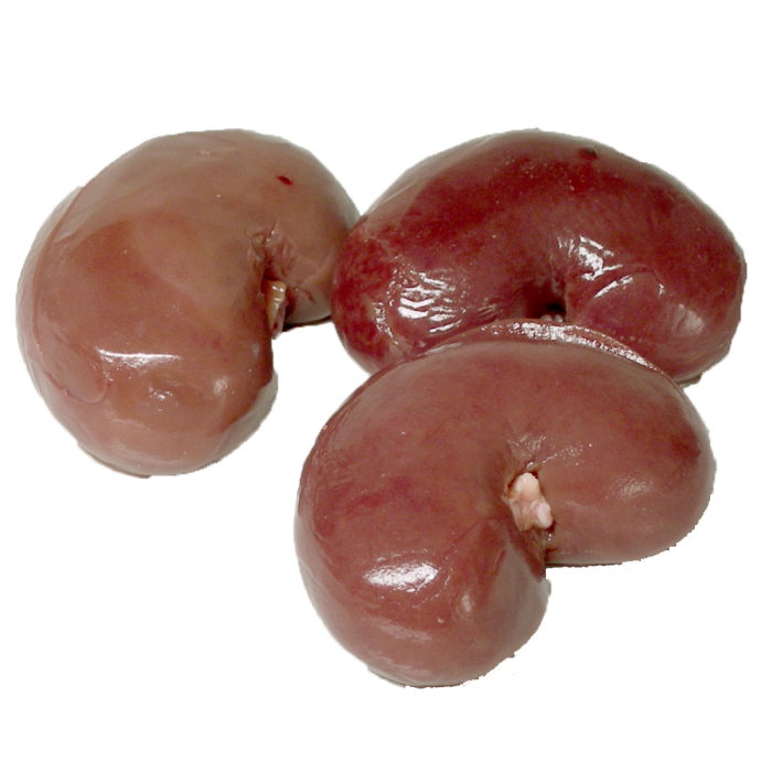 Beef Kidney